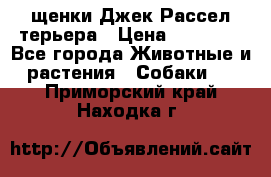 щенки Джек Рассел терьера › Цена ­ 27 000 - Все города Животные и растения » Собаки   . Приморский край,Находка г.